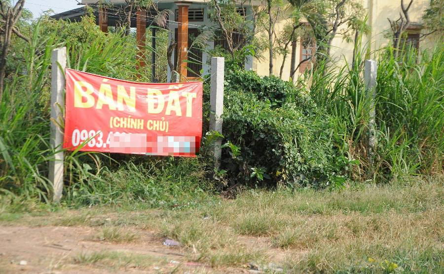 Nông sản Đồng bằng sông Cửu Long giữa mùa khó khăn kép ảnh 13