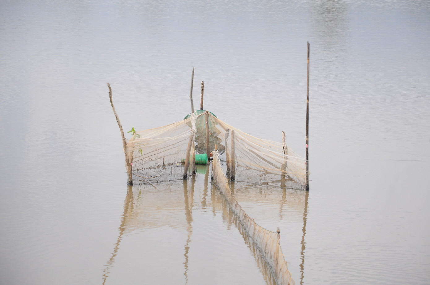 Lay lắt mưu sinh mùa nước nổi miền Tây ảnh 14