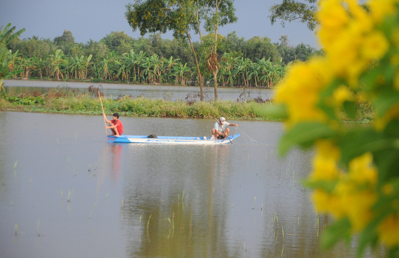 Lay lắt mưu sinh mùa nước nổi miền Tây ảnh 3