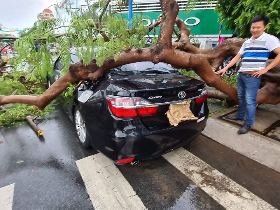 Cần Thơ mưa gió khủng khiếp, cây xanh đổ trúng 'xế sang' ảnh 7