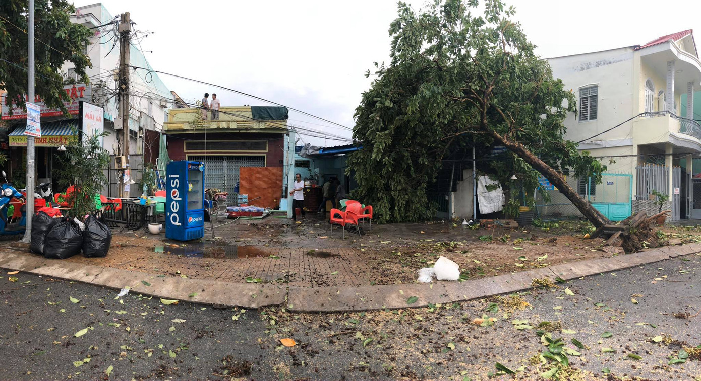 Cần Thơ mưa gió khủng khiếp, cây xanh đổ trúng 'xế sang' ảnh 15