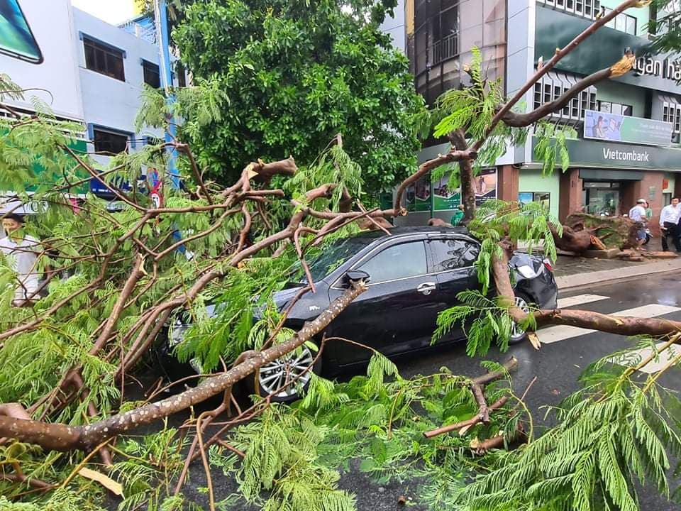 Cần Thơ mưa gió khủng khiếp, cây xanh đổ trúng 'xế sang' ảnh 8