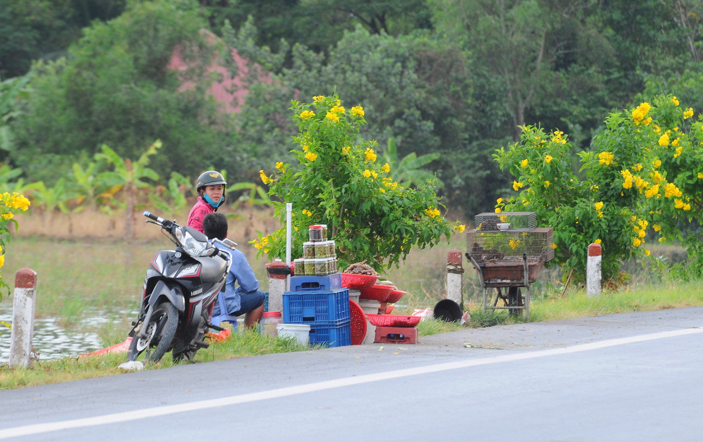 Lay lắt mưu sinh mùa nước nổi miền Tây ảnh 17