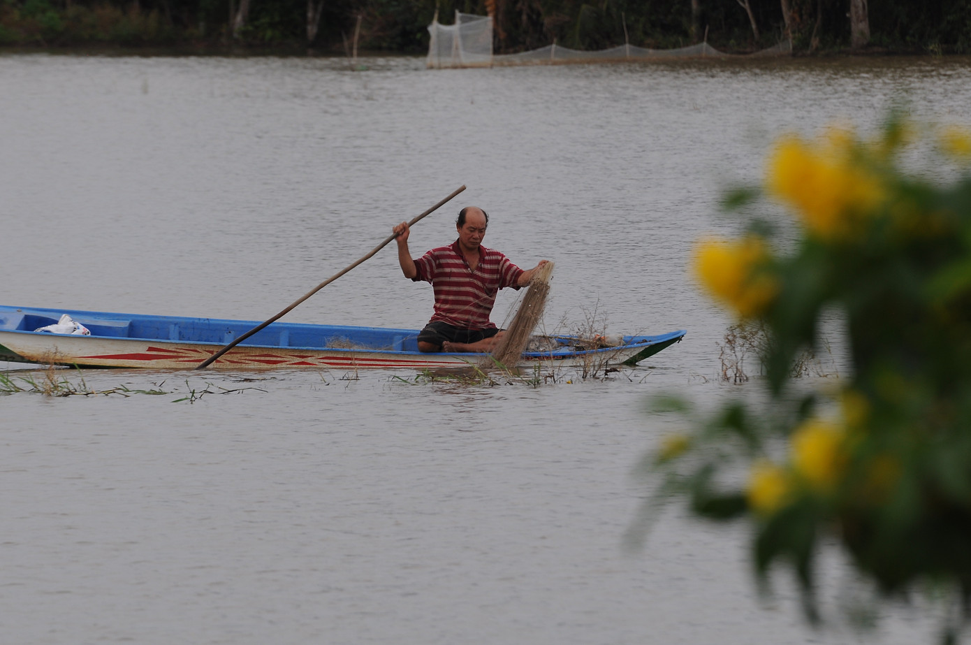 Lay lắt mưu sinh mùa nước nổi miền Tây ảnh 13