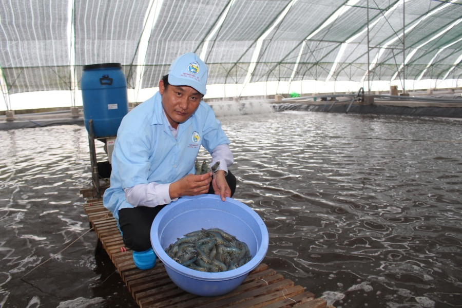 Xuất khẩu tôm sang Trung Quốc tăng mạnh nhất trong 5 năm qua ảnh 1