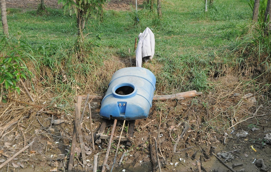 Nông sản Đồng bằng sông Cửu Long giữa mùa khó khăn kép ảnh 7