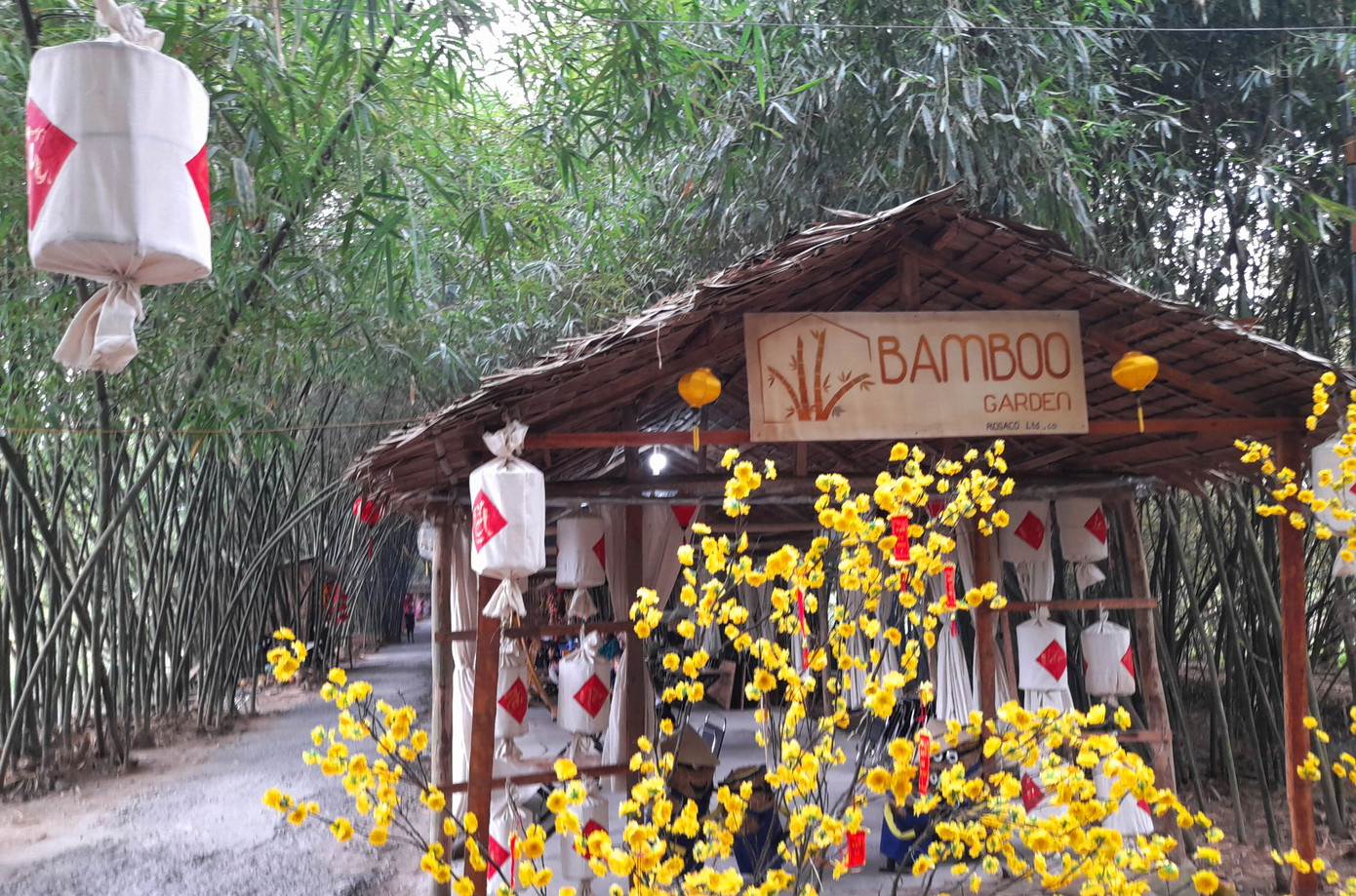 Khám phá vườn tre 'độc nhất vô nhị' ở miền Tây ảnh 8