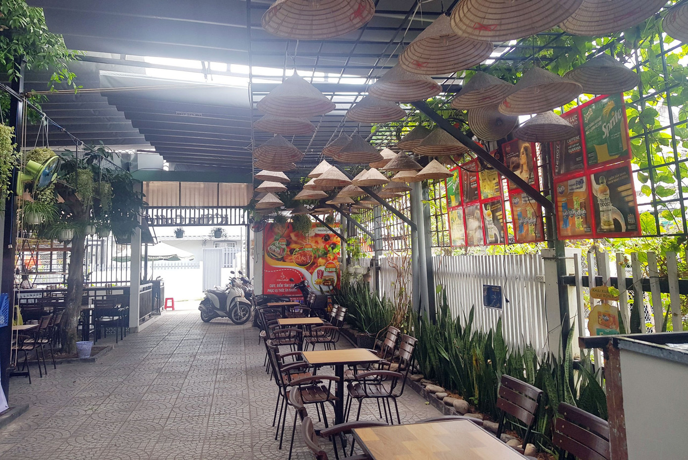 Tây Đô thưa vắng ngày đầu năm ảnh 15