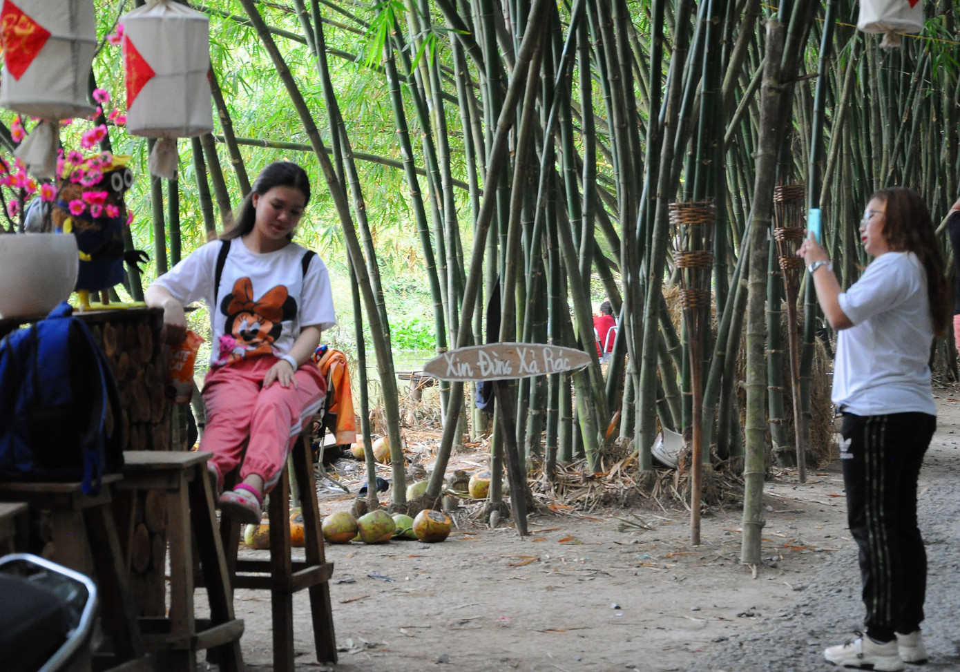 Khám phá vườn tre 'độc nhất vô nhị' ở miền Tây ảnh 10