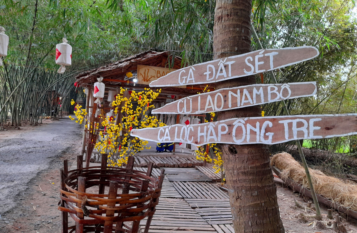 Khám phá vườn tre 'độc nhất vô nhị' ở miền Tây ảnh 12