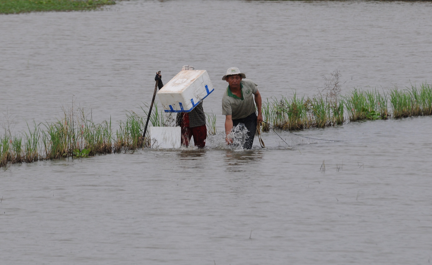 Lay lắt mưu sinh mùa nước nổi miền Tây ảnh 12