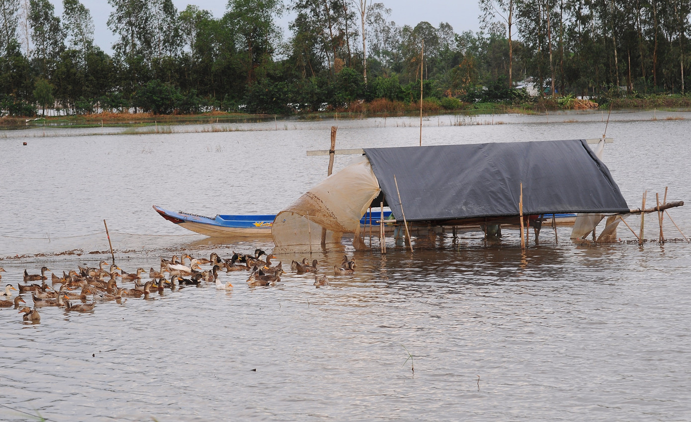 Lay lắt mưu sinh mùa nước nổi miền Tây ảnh 18