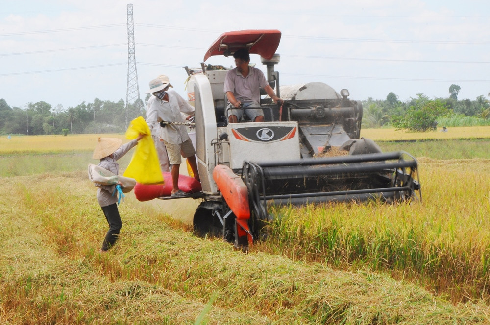 Cơ sở nào xây dựng bảo tàng nông nghiệp 400 tỷ ở Vĩnh Long? ảnh 1