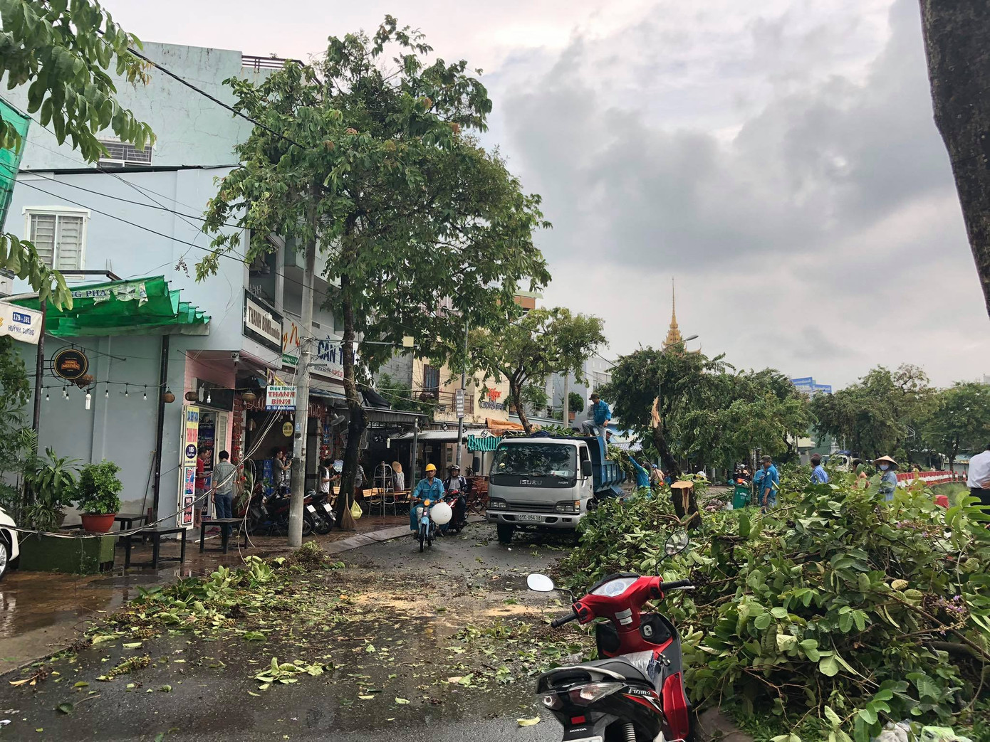 Cần Thơ mưa gió khủng khiếp, cây xanh đổ trúng 'xế sang' ảnh 13