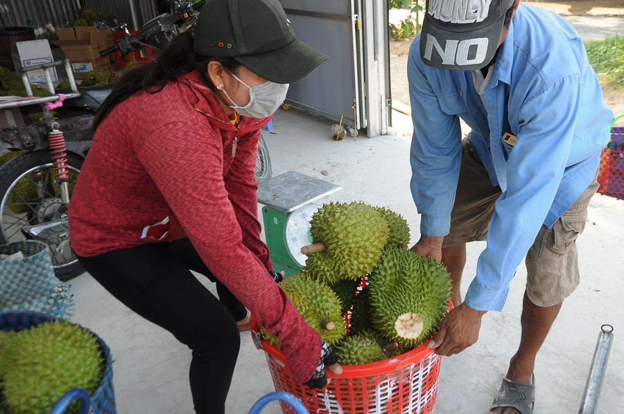 Nông sản Đồng bằng sông Cửu Long giữa mùa khó khăn kép ảnh 11