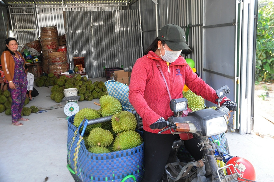 Nông sản Đồng bằng sông Cửu Long giữa mùa khó khăn kép ảnh 12