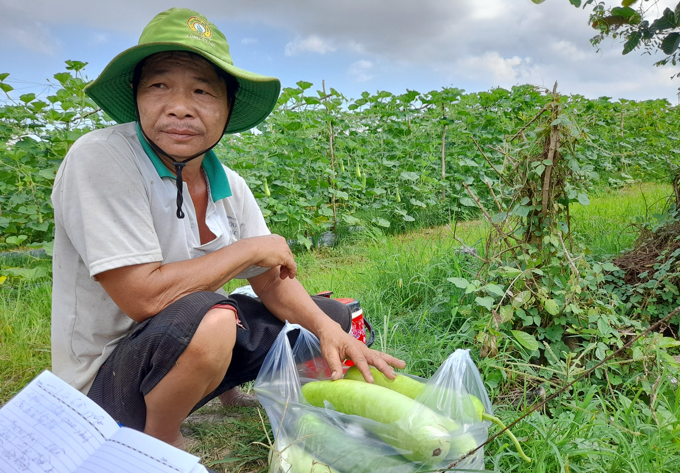 ĐBSCL: Giá thịt heo tăng, nhiều loại rau củ quả giảm ảnh 3