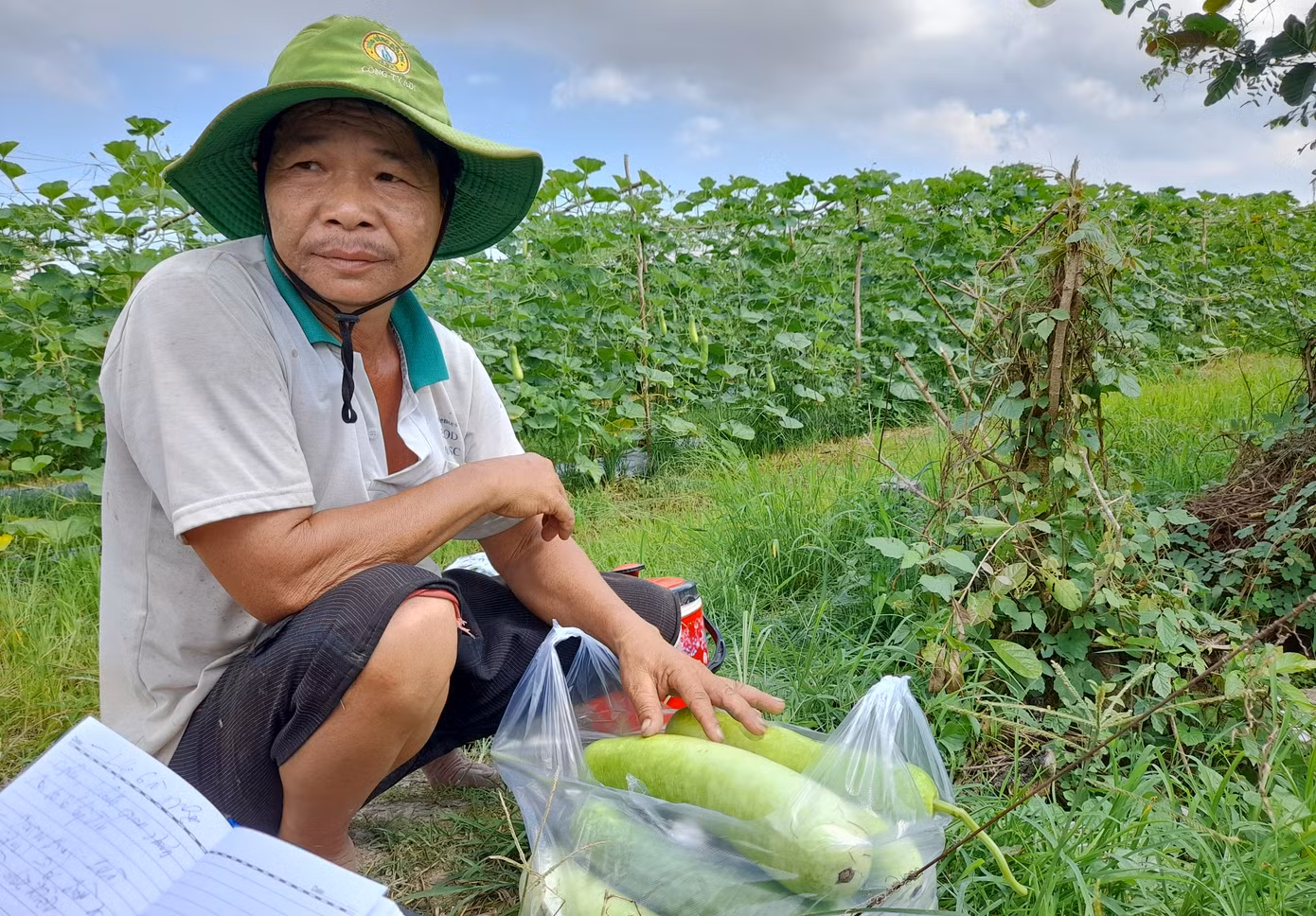 ĐBSCL: Giá thịt heo tăng, nhiều loại rau củ quả giảm ảnh 3