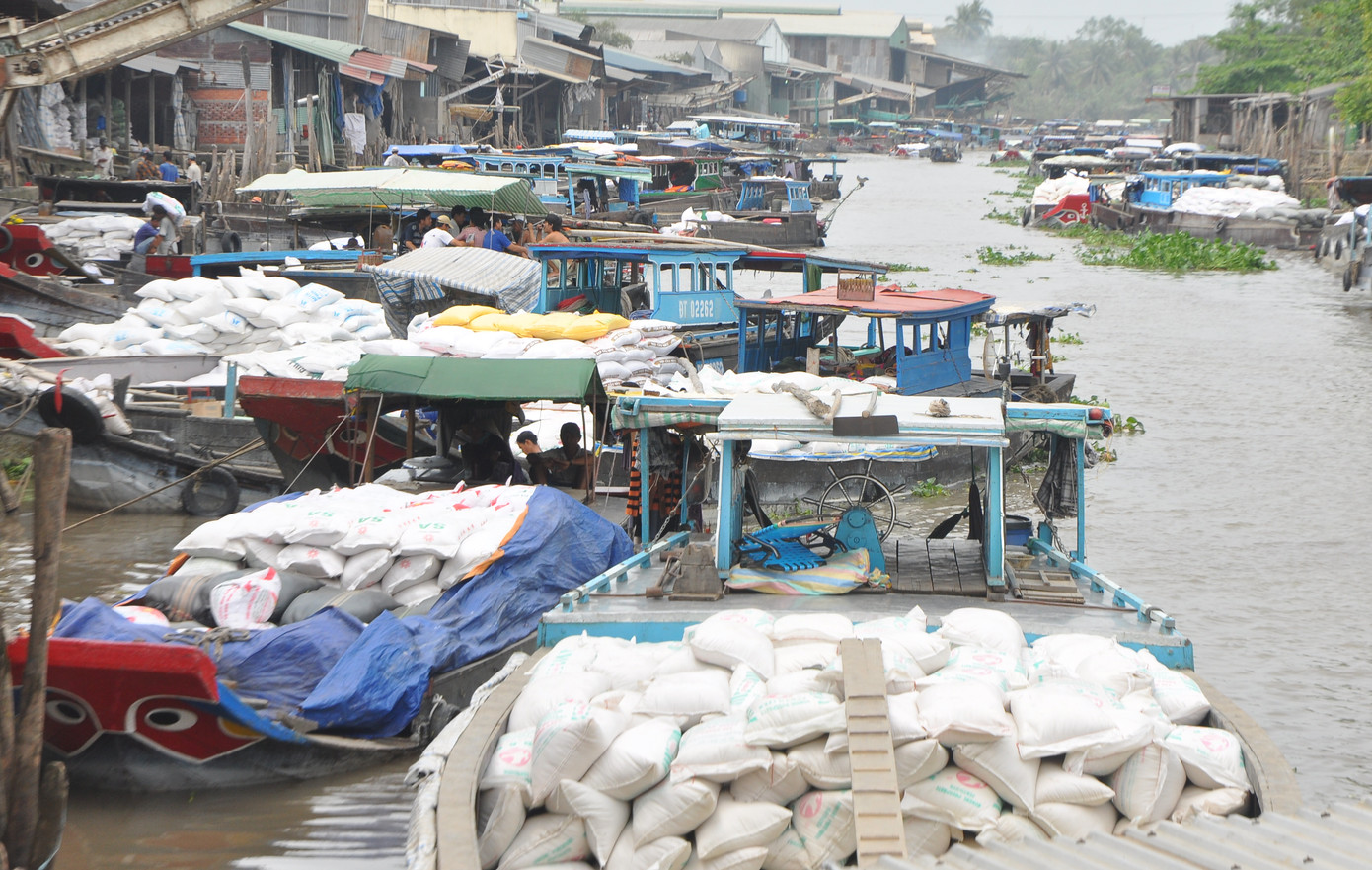 Doanh nghiệp gạo gửi đơn 'cầu cứu khẩn' Thủ tướng lần thứ 4 ảnh 1