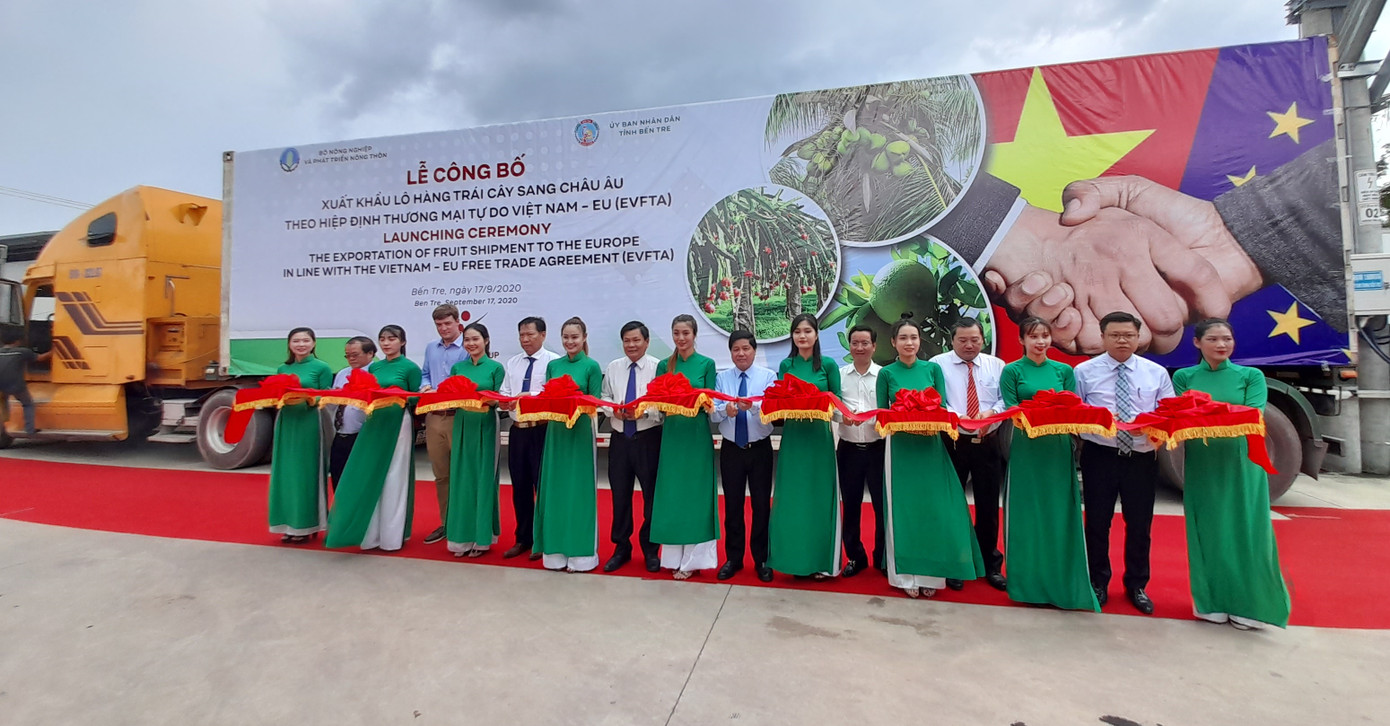 Xuất khẩu lô hàng trái cây sang châu Âu theo hiệp định EVFTA ​ ảnh 2