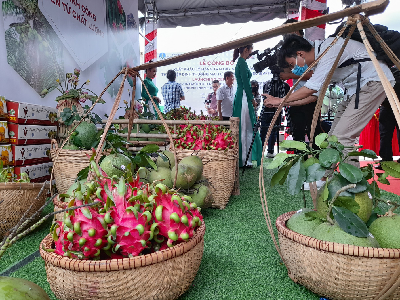 Xuất khẩu lô hàng trái cây sang châu Âu theo hiệp định EVFTA ​ ảnh 1