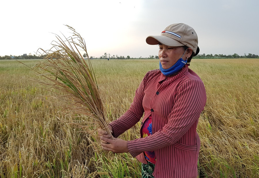 Nông sản Đồng bằng sông Cửu Long giữa mùa khó khăn kép ảnh 4