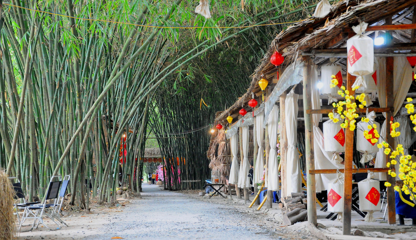 Khám phá vườn tre 'độc nhất vô nhị' ở miền Tây ảnh 19