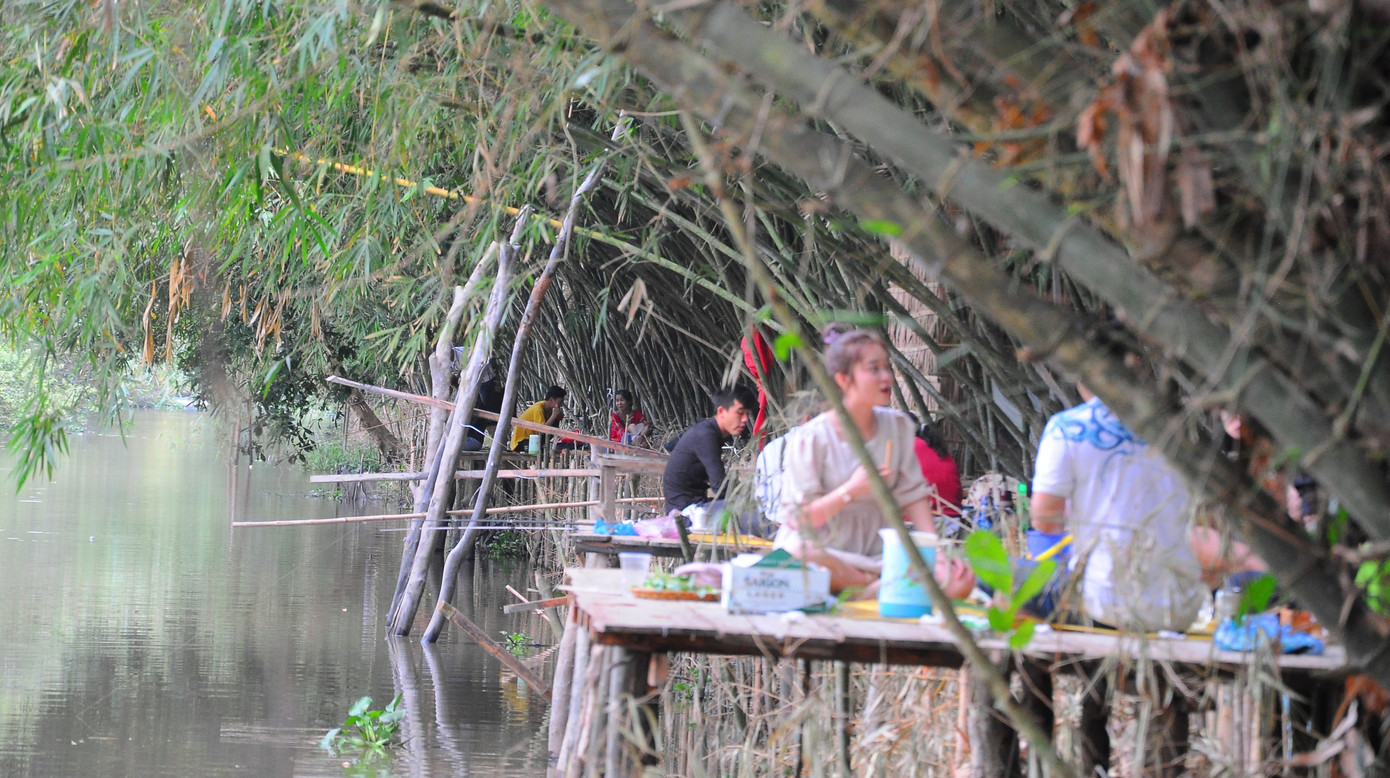 Khám phá vườn tre 'độc nhất vô nhị' ở miền Tây ảnh 13