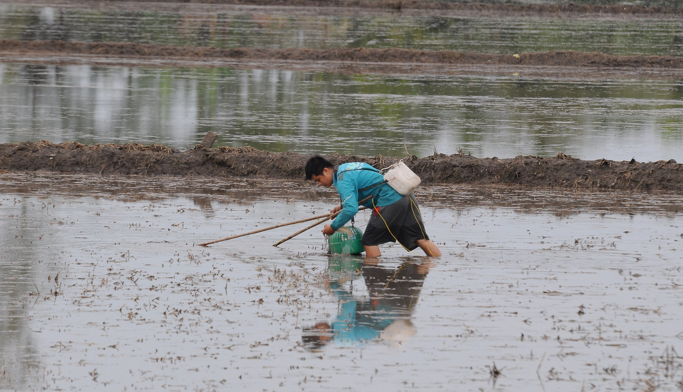 Lay lắt mưu sinh mùa nước nổi miền Tây ảnh 16