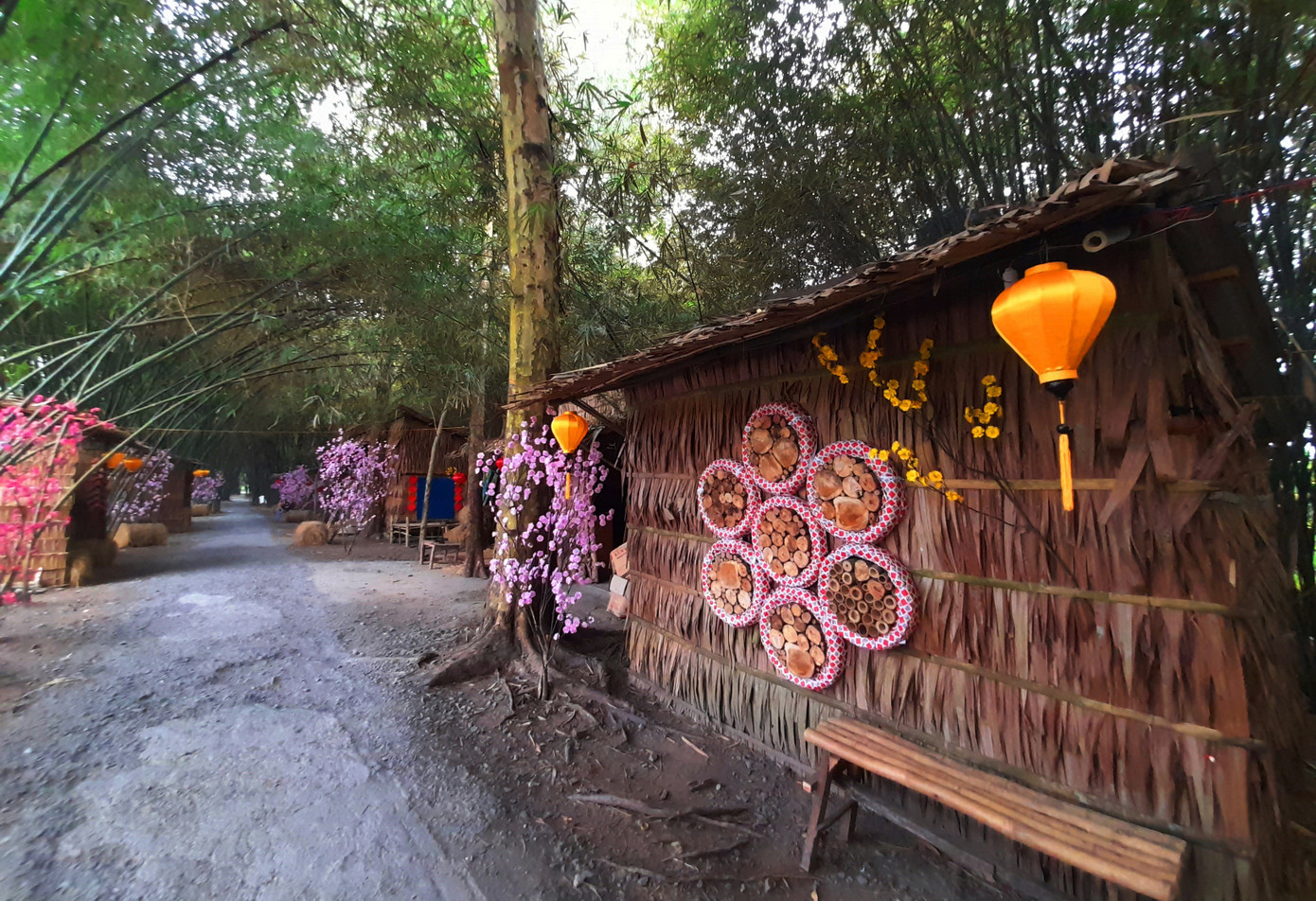 Khám phá vườn tre 'độc nhất vô nhị' ở miền Tây ảnh 20