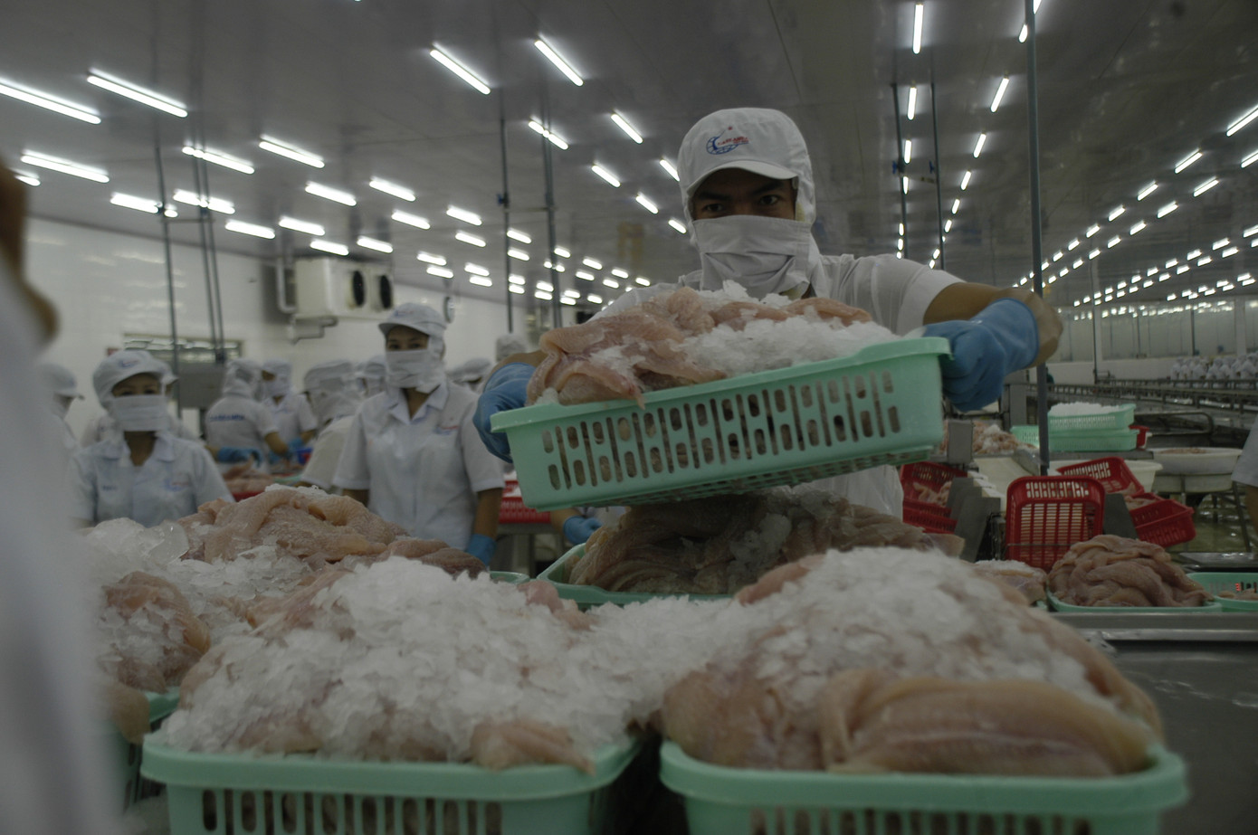 Gặp khó do COVID-19, doanh nghiệp còn bị 'hành' thủ tục hành chính ảnh 1