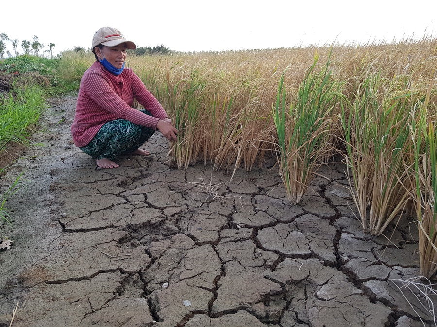 Nông sản Đồng bằng sông Cửu Long giữa mùa khó khăn kép ảnh 5