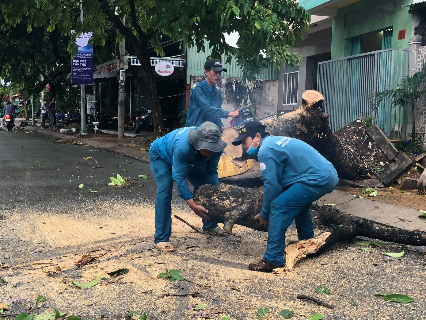 Cần Thơ mưa gió khủng khiếp, cây xanh đổ trúng 'xế sang' ảnh 11