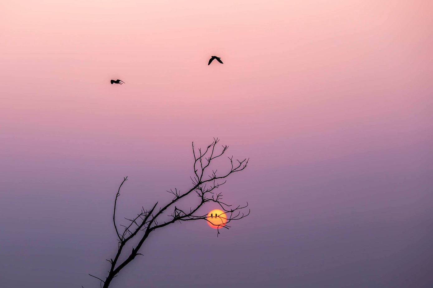 Xuýt xoa bộ ảnh chụp hoàng hôn đẹp như tranh vẽ của sinh viên ĐH Kinh Tế TP.HCM ảnh 3