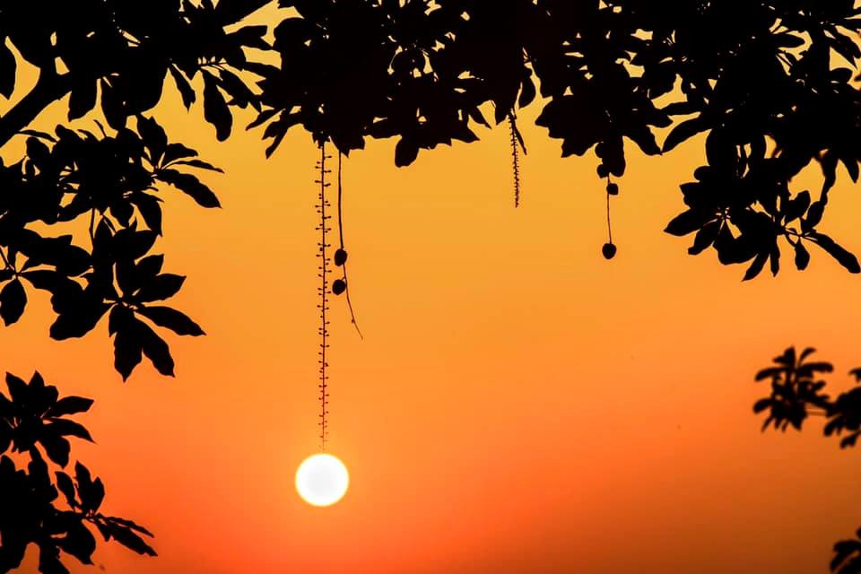 Xuýt xoa bộ ảnh chụp hoàng hôn đẹp như tranh vẽ của sinh viên ĐH Kinh Tế TP.HCM ảnh 2