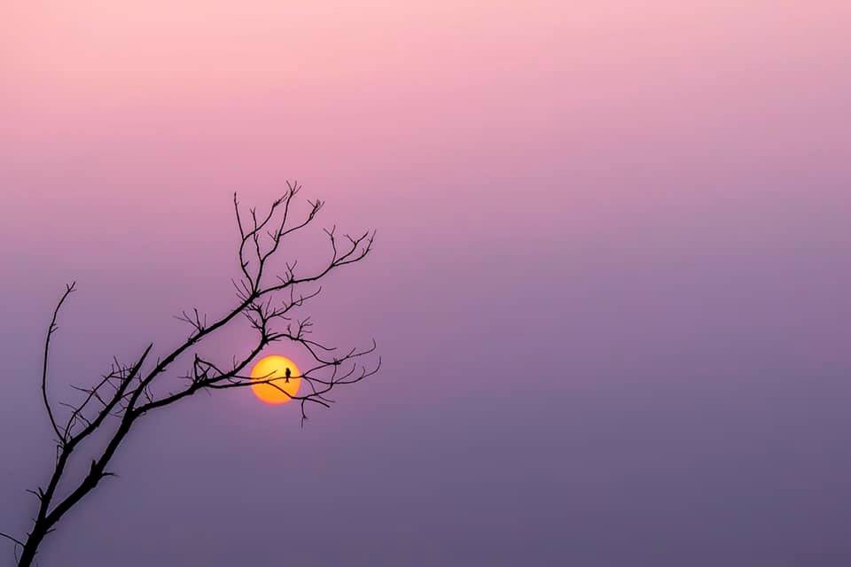 Xuýt xoa bộ ảnh chụp hoàng hôn đẹp như tranh vẽ của sinh viên ĐH Kinh Tế TP.HCM ảnh 1