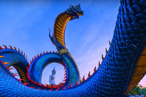 Quảng Ninh tạm dừng các hoạt động du lịch từ ngày 12/3, ảnh 4