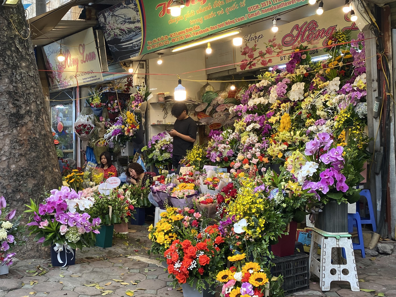 Hoa tươi đìu hiu ngóng khách, 'hoa sầu riêng' gây sốt ngày 8/3 ảnh 1