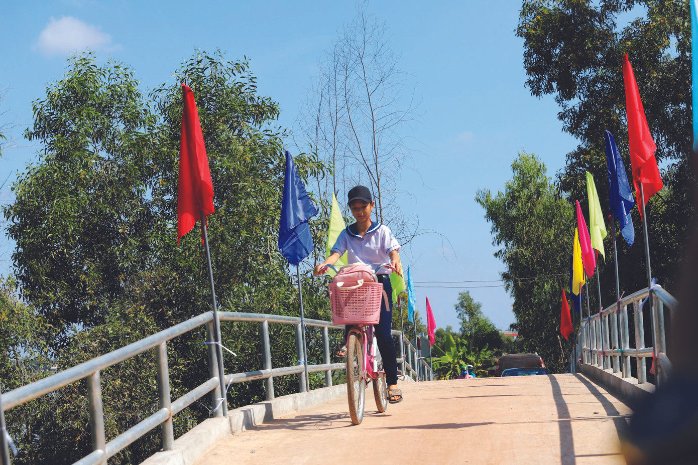 Người dân Long An sung sướng khi có cầu giao thông nông thôn ảnh 1