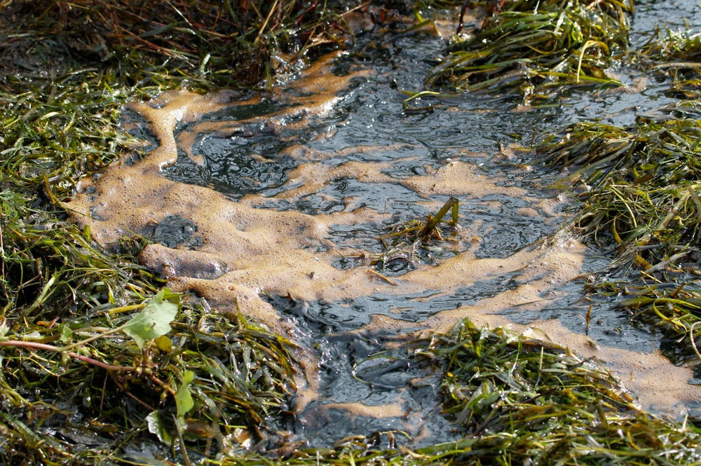 Rùng mình những vụ xả thải gây ô nhiễm nước trên thế giới ảnh 12