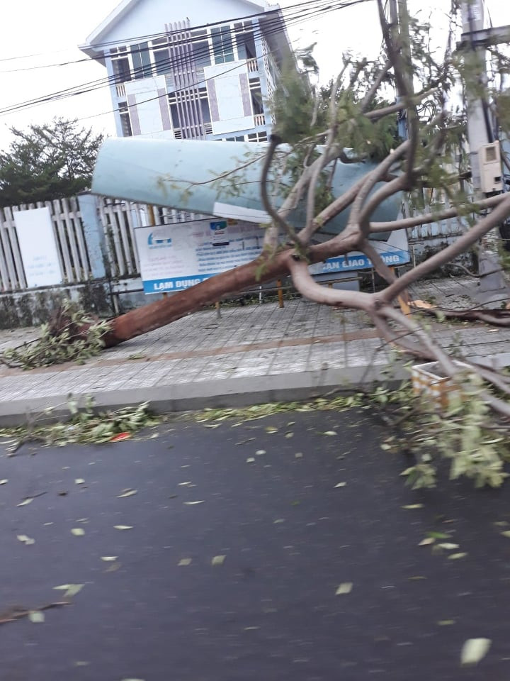 Hình ảnh Quảng Nam tan hoang sau bão số 9 ảnh 9