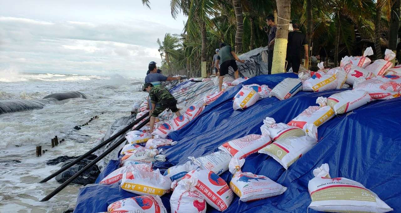 Bờ biển Cửa Đại sạt lở nghiêm trọng, kè biển chỉ cầm cự từng đợt ảnh 2