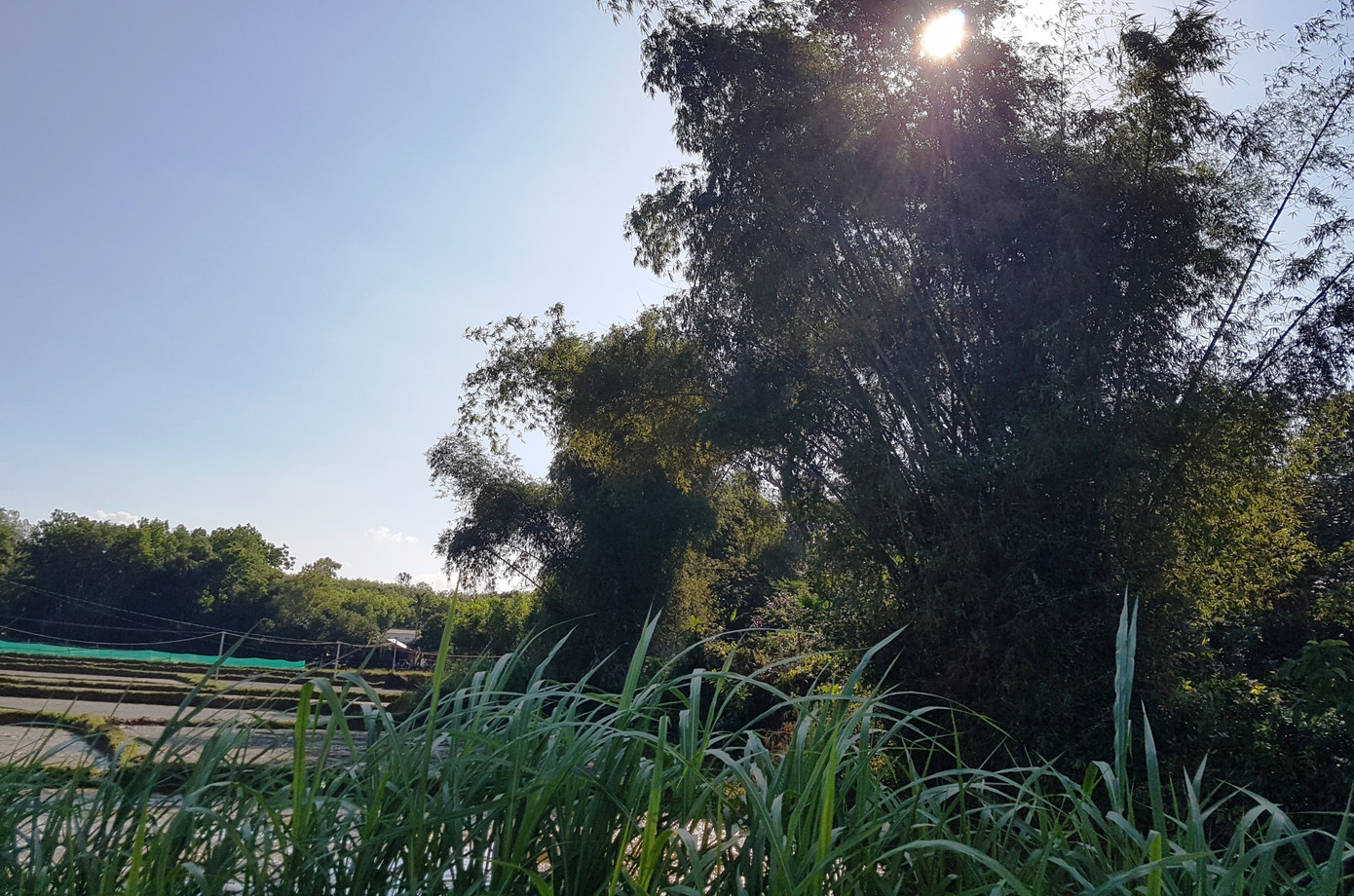 'Check - in' làng Đo Đo trong Mắt biếc ảnh 13