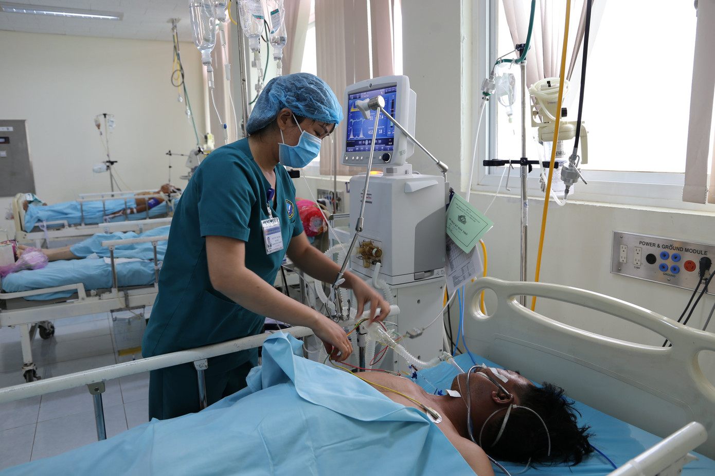 6 người nhập viện, 2 người nguy kịch vì ngộ độc cá nóc ảnh 1