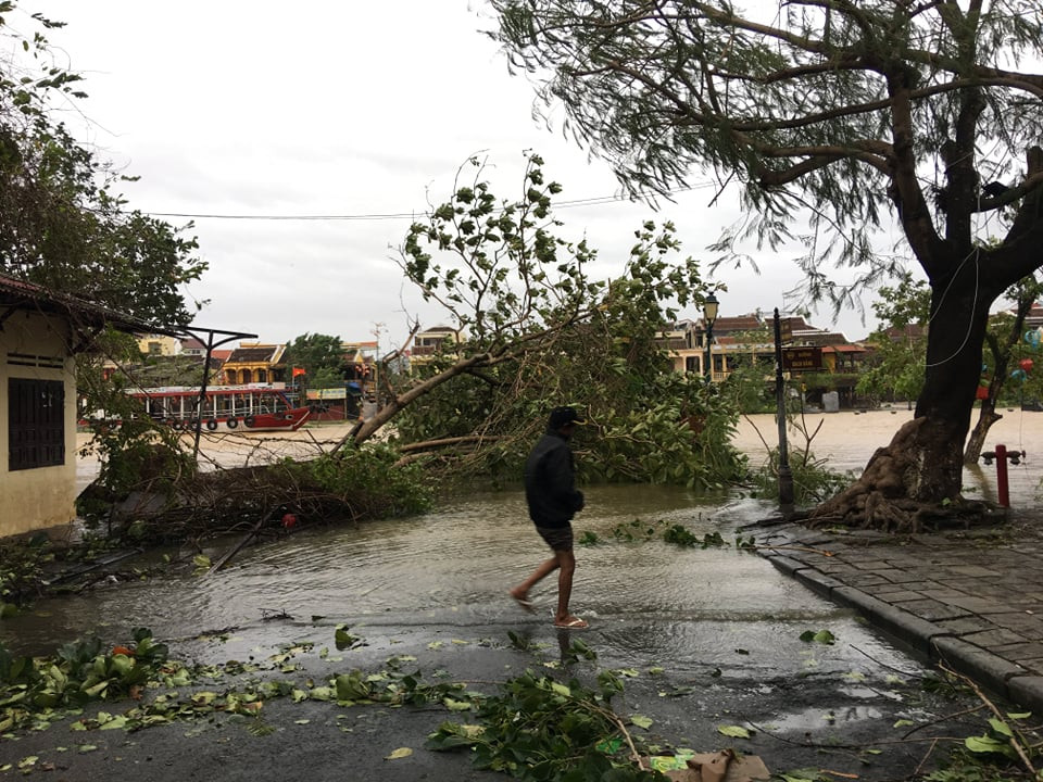 Hình ảnh Quảng Nam tan hoang sau bão số 9 ảnh 7