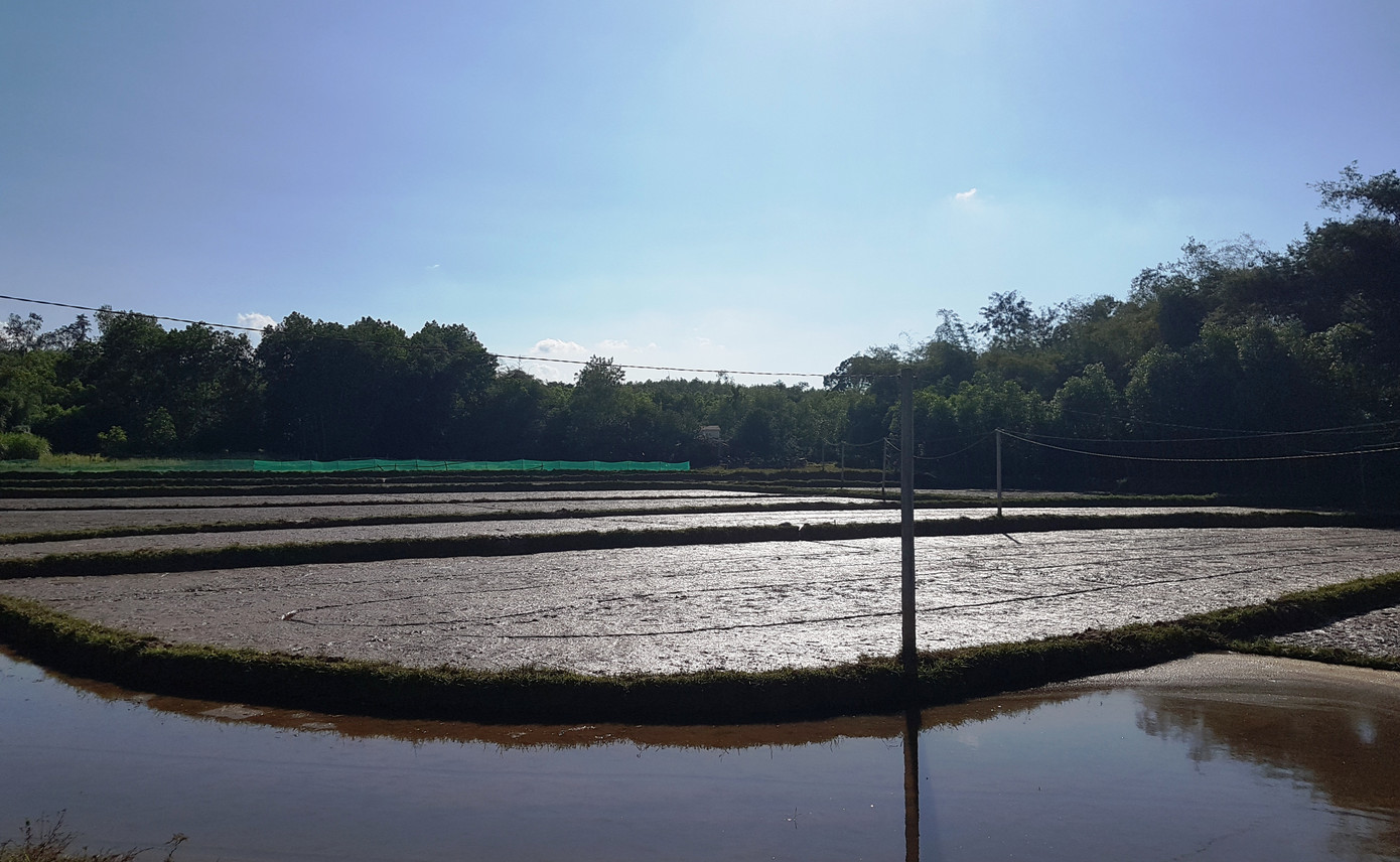 'Check - in' làng Đo Đo trong Mắt biếc ảnh 14