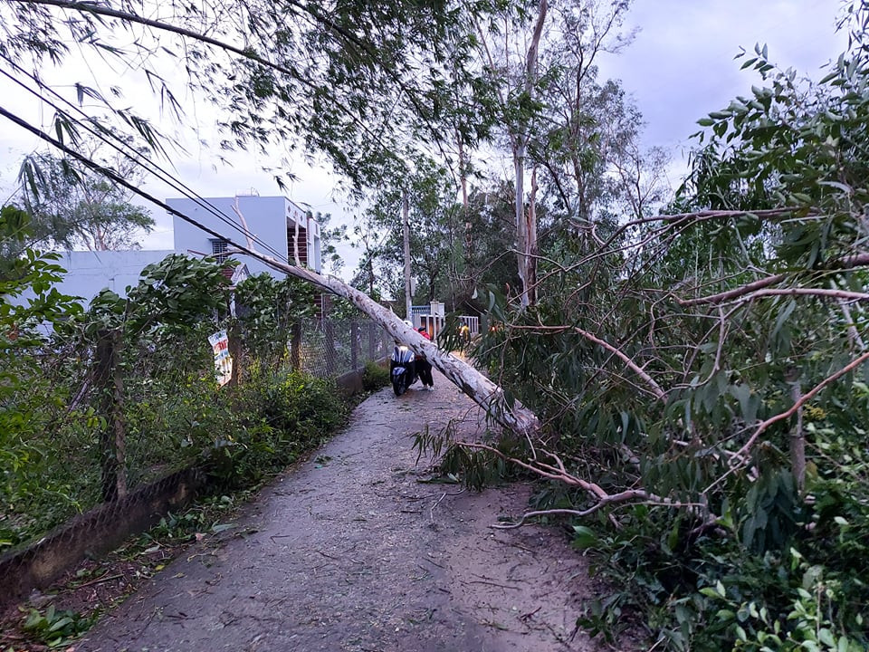 Hình ảnh Quảng Nam tan hoang sau bão số 9 ảnh 5