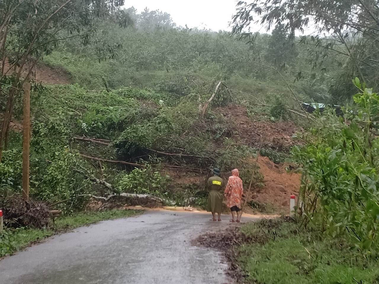Lại sạt lở ở Quảng Nam, 1 người chết ảnh 2