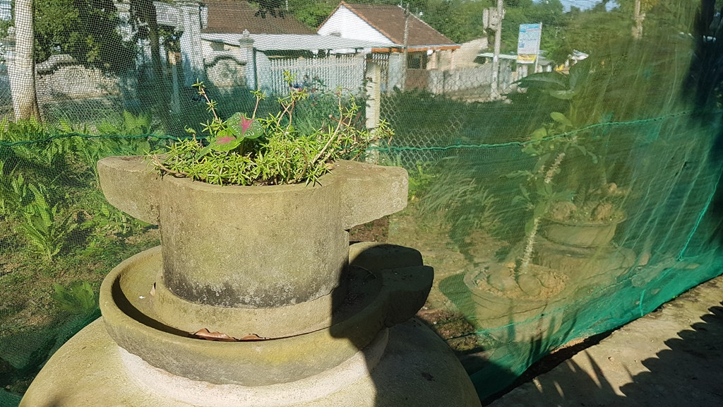 'Check - in' làng Đo Đo trong Mắt biếc ảnh 6