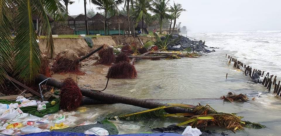 Bờ biển Cửa Đại sạt lở nghiêm trọng, kè biển chỉ cầm cự từng đợt ảnh 4